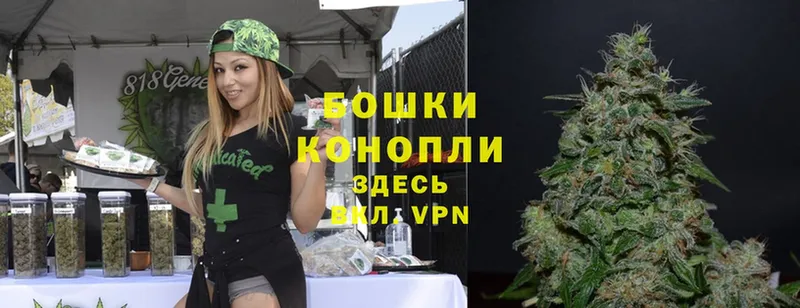 купить   Ржев  Марихуана White Widow 